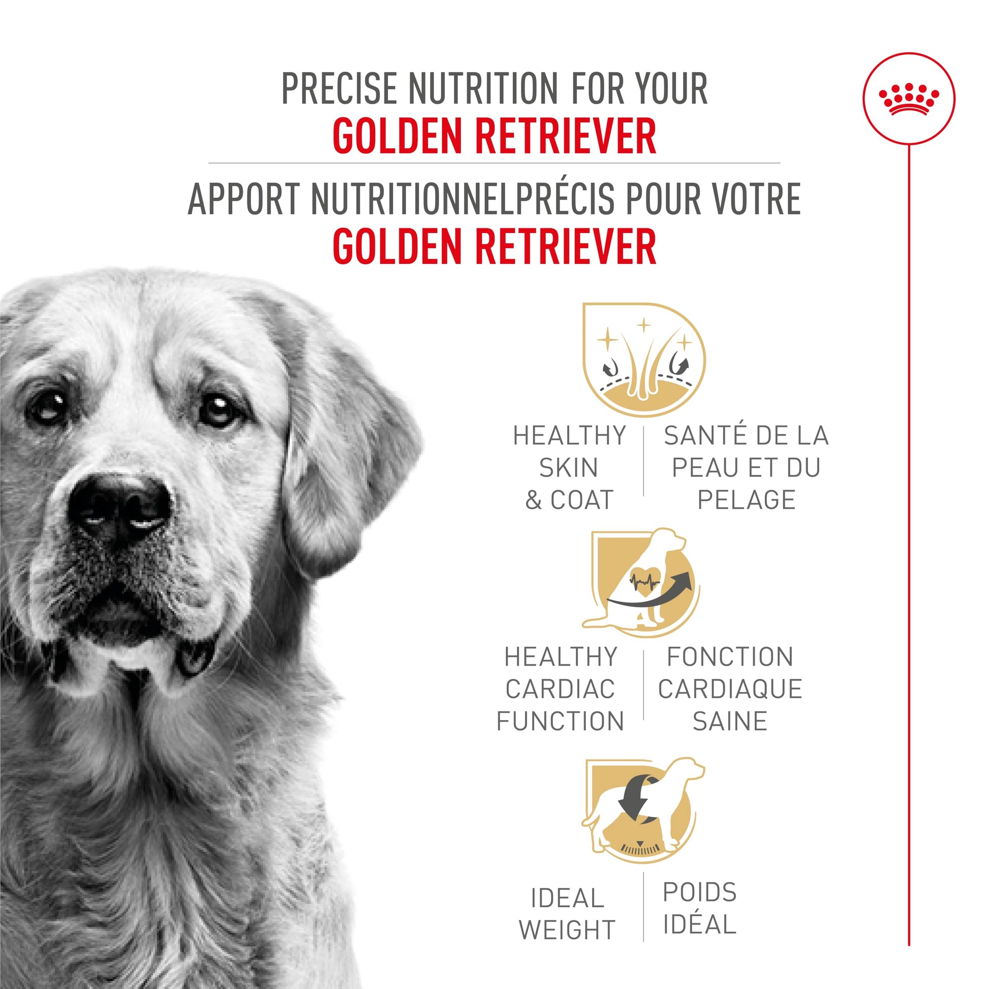 Royal Canin Golden Retriever Adult Dry Dog Food, 30 lb bag ROYAL CANIN