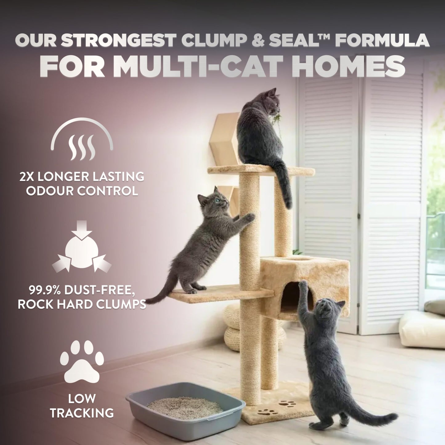 ARM & HAMMER Platinum Cat Litter, Clump & Seal, EXTRA STRENGTH Complete Odour Sealing with 14 Days of Odour Control, Multi-Cat, Hard Clumping Clay, 99.99% Dust Free, 18.14kg