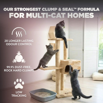 ARM & HAMMER Platinum Cat Litter, Clump & Seal, EXTRA STRENGTH Complete Odour Sealing with 14 Days of Odour Control, Multi-Cat, Hard Clumping Clay, 99.99% Dust Free, 18.14kg