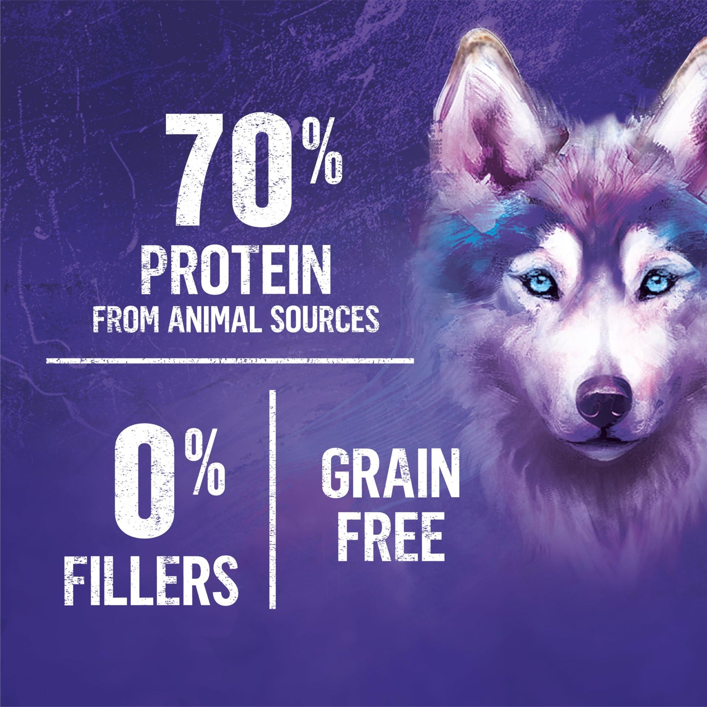 Beyond Wild Dry Dog Food, Turkey, Egg & Bone Broth 4.5kg Beyond