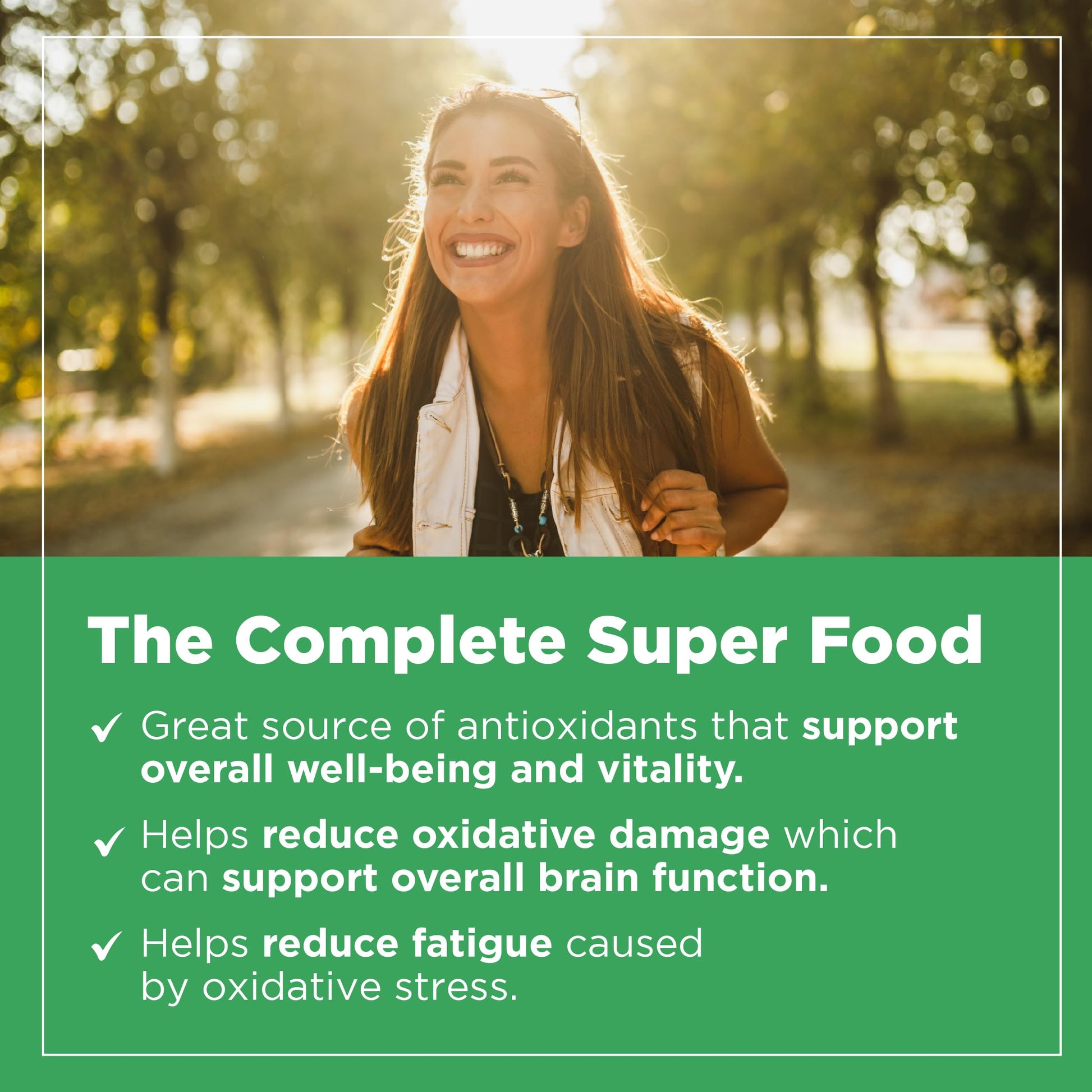 PlantVital Organic Moringa Leaf Capsules - Made in Canada - 1000mg High Potency (500mg per cap) Moringa Pure Capsules for Antioxidant, and Eye Health - Vegan, Non-GMO, Gluten Free (120 Count, 60 Days) - Available at All In One Marketplace Canada
