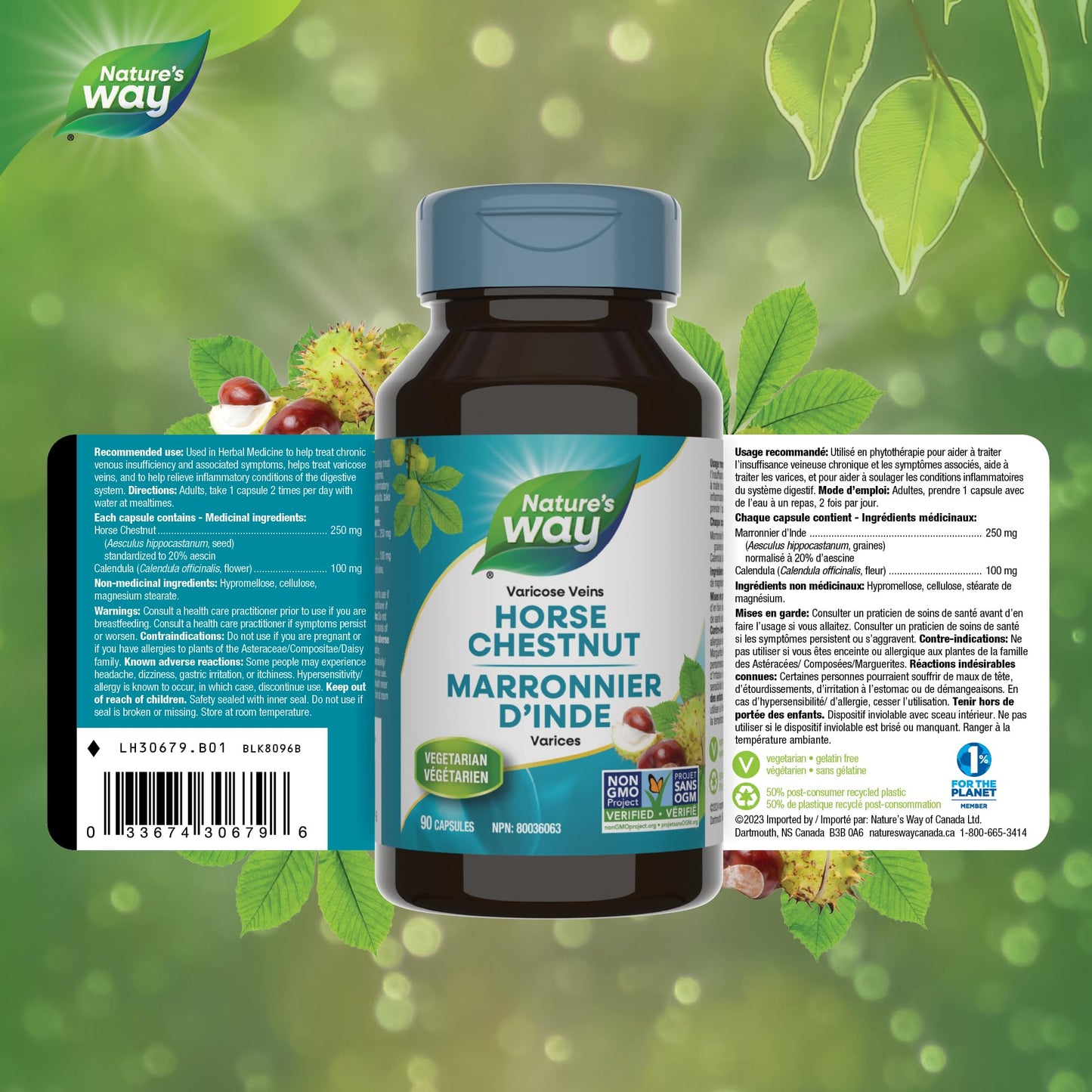Nature's Way Horse Chestnut Supplement – Helps Treat Varicose Veins and Associated Symptoms – Digestive System Inflammation Relief – 100mg Calendula, 250mg Horse Chestnut – 90 Vegetarian Capsules - Available at All In One Marketplace Canada