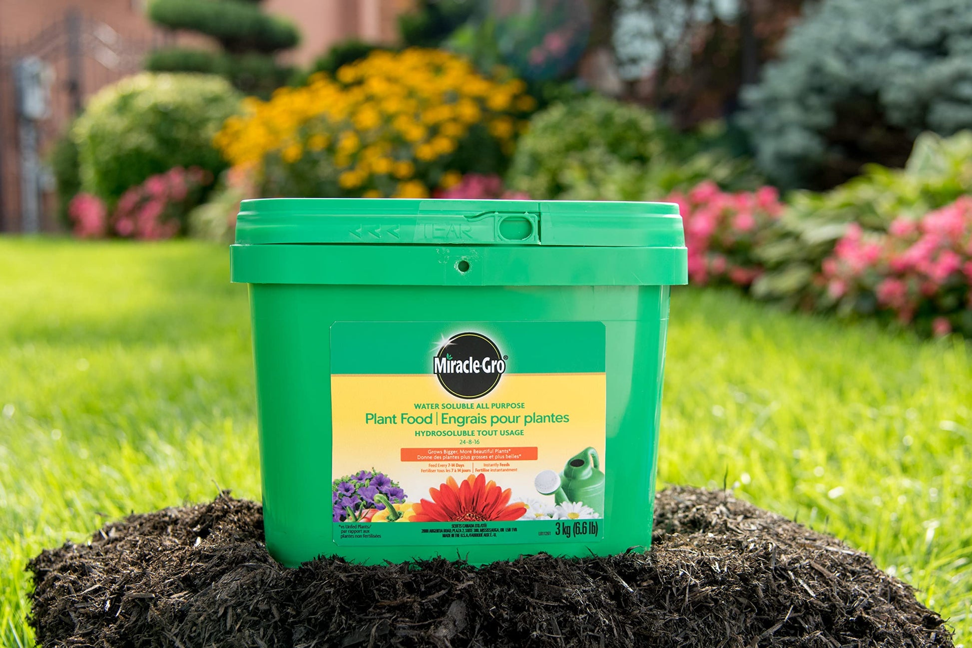 Miracle-Gro Water Soluble All Purpose Plant Food, 3kg | Instant Feeder for Flowers, Veggies, Trees & Shrubs | Easy Mix & Apply
