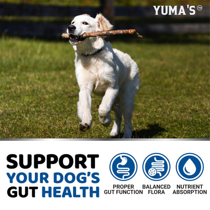 Probiotics for Dogs - 170 Chews - Helps Relieve Diarrhea, Gas & Allergies, Constipation - Dog Probiotics - Digestive & Immune Support - Prebiotics & Digestive Enzymes - Gut Health Chewable Supplement