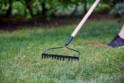 Scotts Turf Builder Grass Seed All Purpose Mix, 5kg (1,230 sq Meters / 13,239 sq feet Coverage) | Sun & Shade Formula to overseed or to Grow a new Thick, Lawn 🍁 All In One Marketplace Canada
