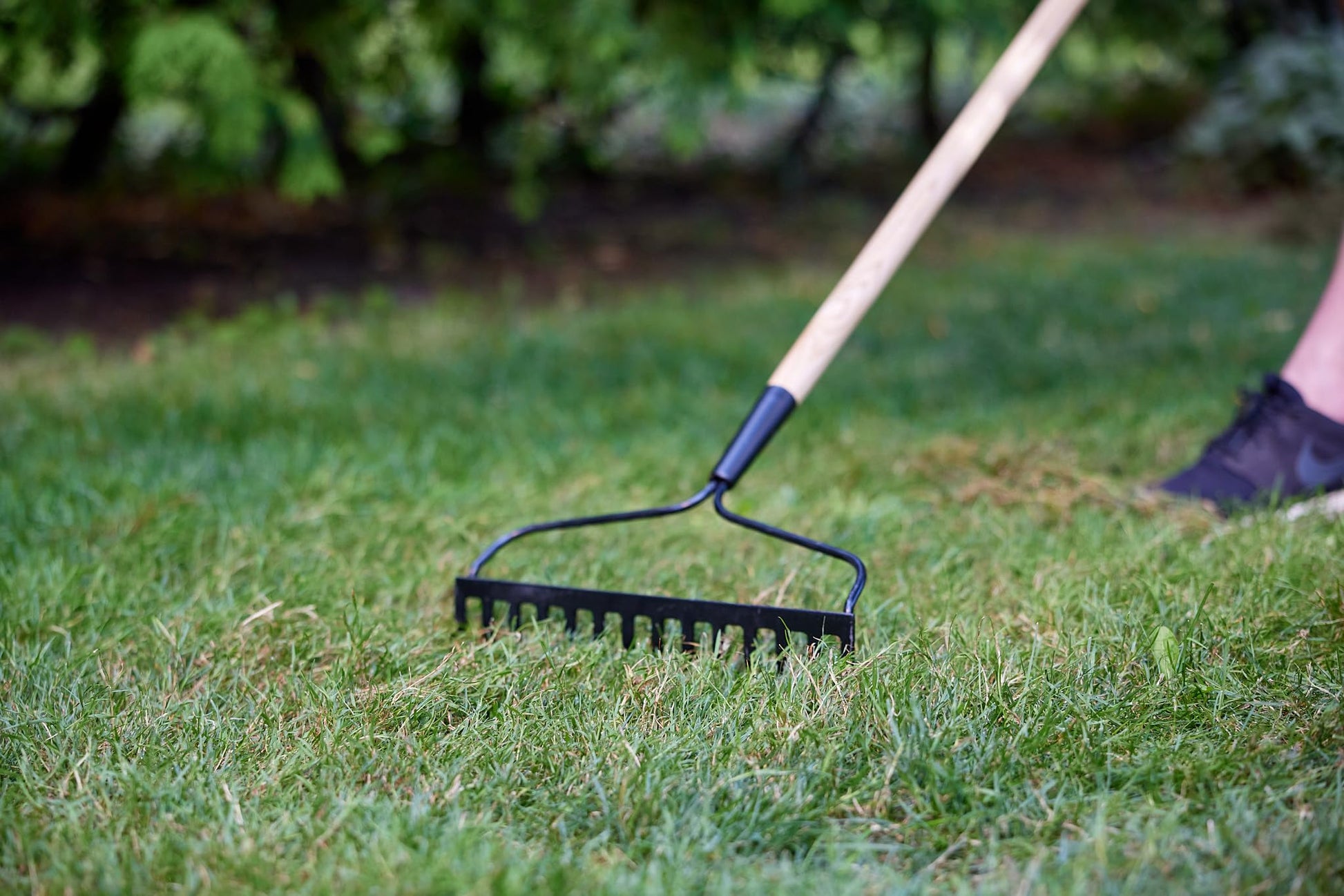 Scotts Turf Builder Grass Seed Sunny Areas Mix, 1kg (246 sq Meters / 2,648 sq feet Coverage) | Formula for overseeding or Growing a new, Thick Lawn in Sunny Areas Scotts