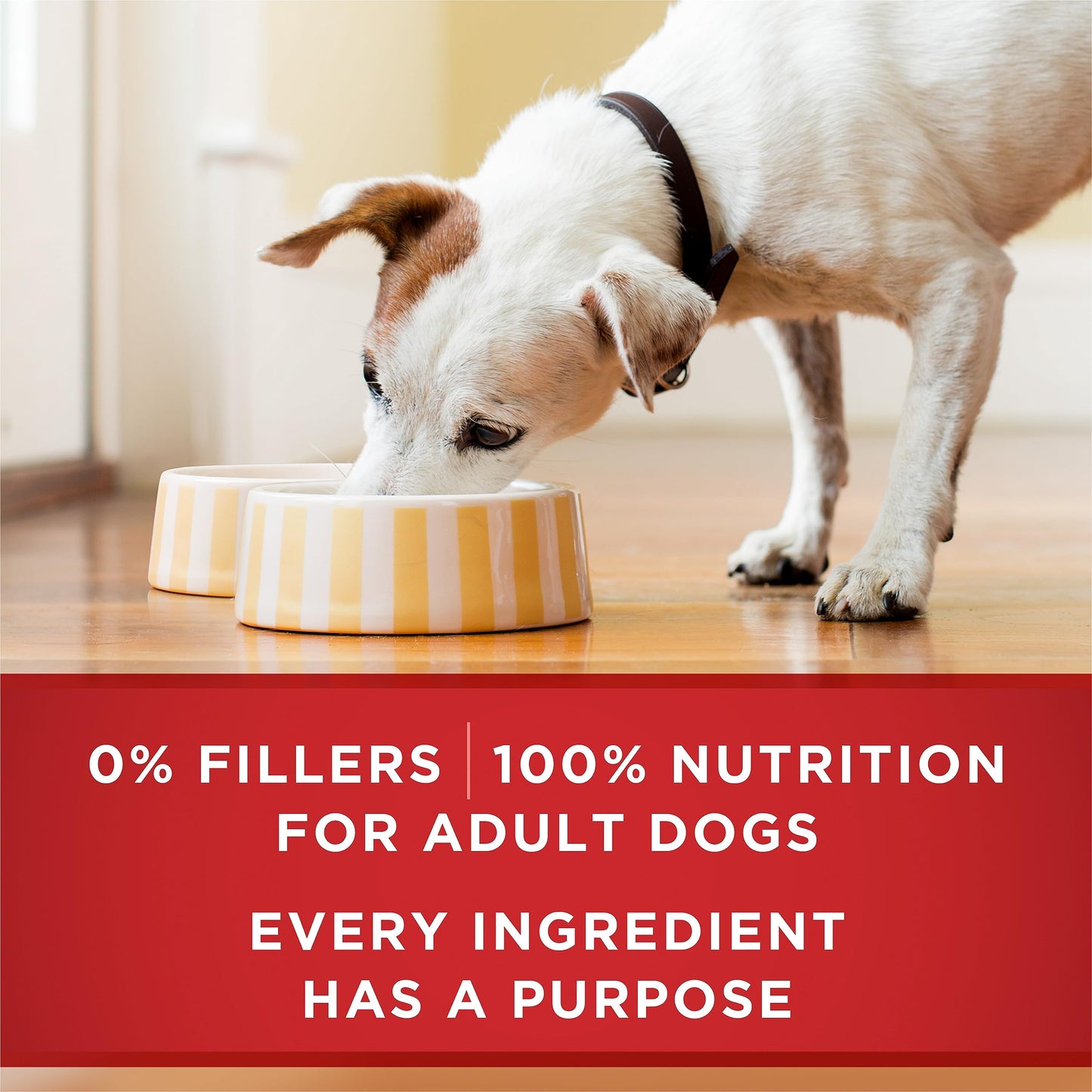 Purina ONE Wet Dog Food, Tender Cuts in Gravy Lamb & Rice 368g (12 Pack) Purina ONE