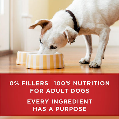 Purina ONE Wet Dog Food, Tender Cuts in Gravy Lamb & Rice 368g (12 Pack) Purina ONE