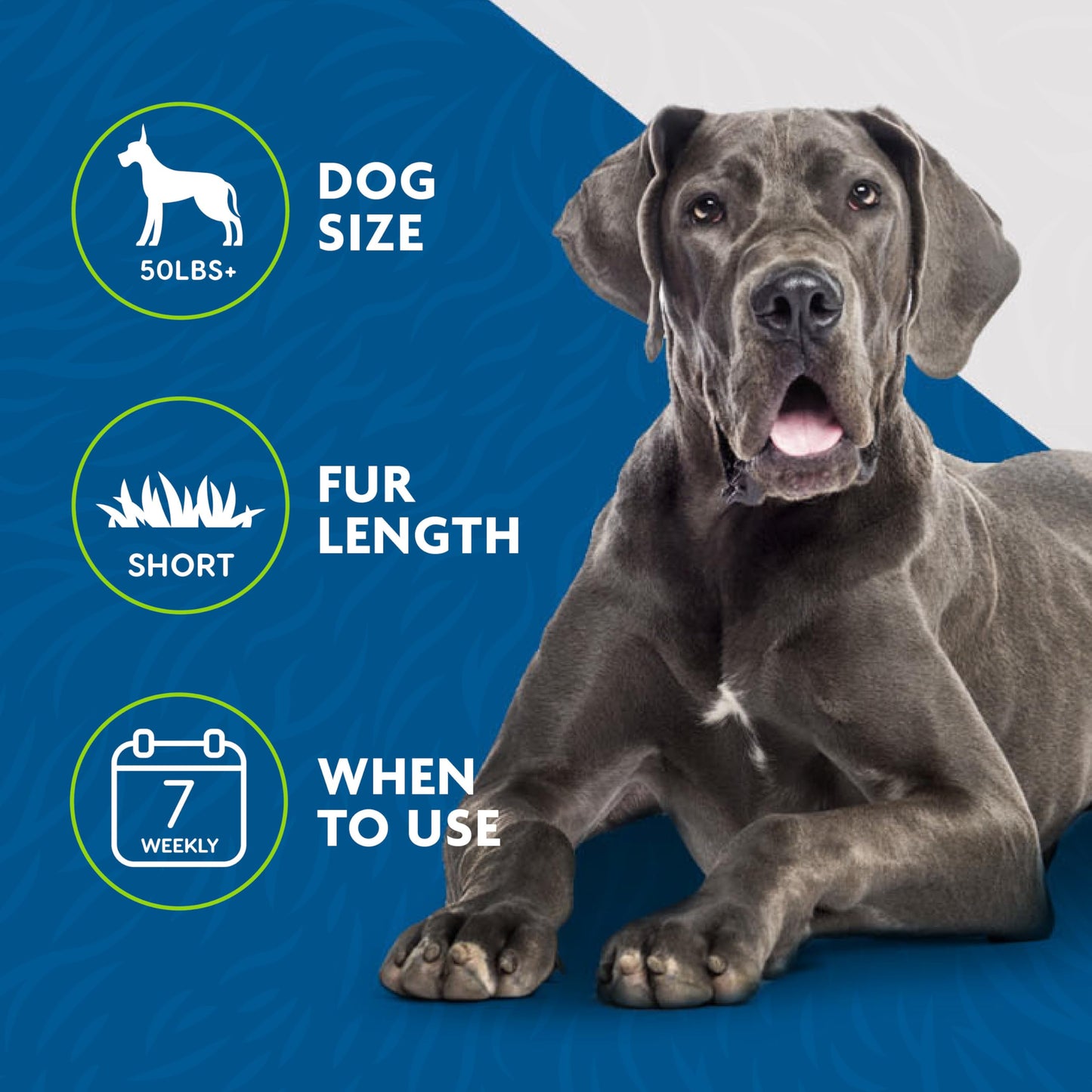 FURminator Undercoat Deshedding Tool for Dogs, Deshedding Brush for Dogs, Removes Loose Hair and Combats Dog Shedding 🍁 All In One Marketplace Canada