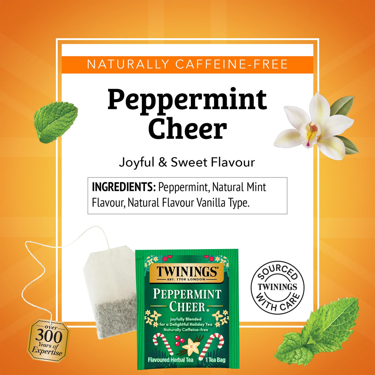 Twinings Peppermint Cheer Herbal Tea, 20 Count (Pack of 6) 🍁 All In One Marketplace Canada