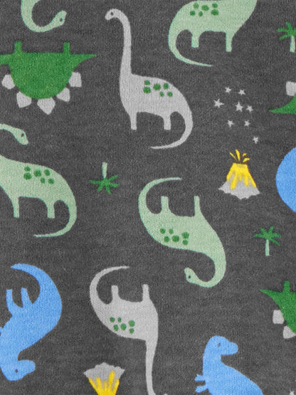 Simple Joys by Carter's Boys' 2-Pack Cotton Footed Sleep and Play, Dinosaur Print, 3-6 Months Simple Joys by Carter's