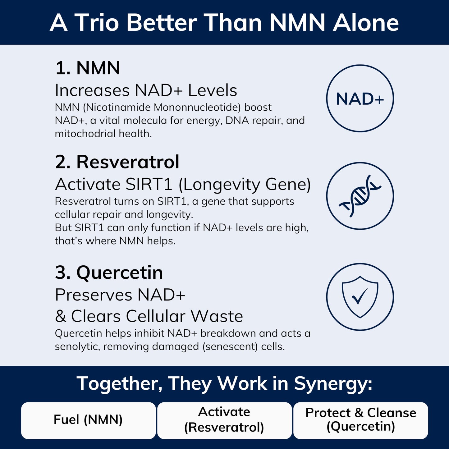 NMN w/Quercetin & Resveratrol For Enhanced NAD+ Levels - More Effective Than NMN Alone, High Purity 99% Nicotinamide Mononucleotide & Resveratrol For Cellular Health, NAD Supplement, 60 Capsules - Available at All In One Marketplace Canada