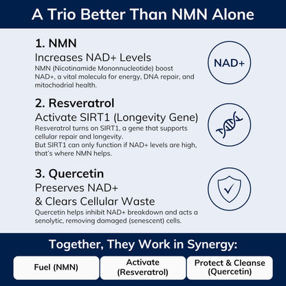 NMN w/Quercetin & Resveratrol For Enhanced NAD+ Levels - More Effective Than NMN Alone, High Purity 99% Nicotinamide Mononucleotide & Resveratrol For Cellular Health, NAD Supplement, 60 Capsules - Available at All In One Marketplace Canada