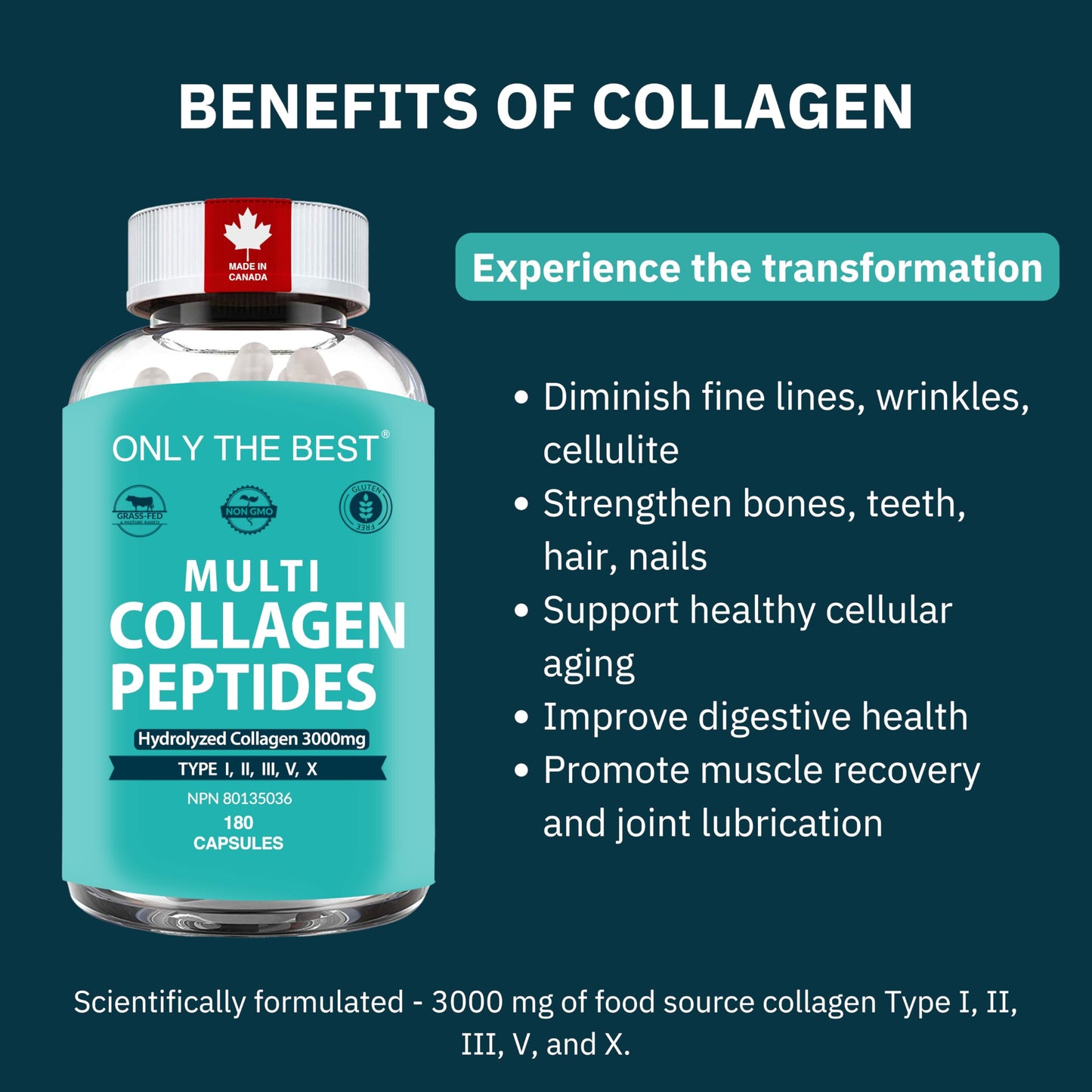 Premium Multi Collagen Peptides Capsules 3000mg - Types I, II, III, V, X To Support Skin, Hair, Nails & Bones - Helps Maintain Strong Joints, Ligaments, Muscles, & Digestive Health* - Hydrolyzed Collagen Supplement 180 Capsules - Available at All In One Marketplace Canada