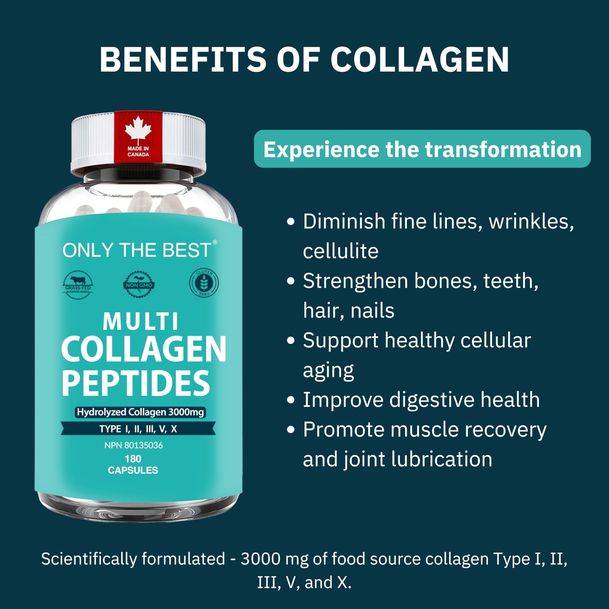 Premium Multi Collagen Peptides Capsules 3000mg - Types I, II, III, V, X To Support Skin, Hair, Nails & Bones - Helps Maintain Strong Joints, Ligaments, Muscles, & Digestive Health* - Hydrolyzed Collagen Supplement 180 Capsules - Available at All In One Marketplace Canada