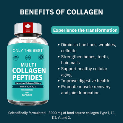 Premium Multi Collagen Peptides Capsules 3000mg - Types I, II, III, V, X To Support Skin, Hair, Nails & Bones - Helps Maintain Strong Joints, Ligaments, Muscles, & Digestive Health* - Hydrolyzed Collagen Supplement 180 Capsules - Available at All In One Marketplace Canada