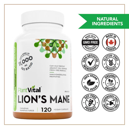 PlantVital Lions Mane - Made in Canada - Max Potency 11,000mg (10:1 Extract) - Organic Lion’s Mane Mushroom Supplements with 40% Polysaccharides - Supports Immune Health and Antioxidants -120 Capsules - Available at All In One Marketplace Canada