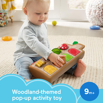 Fisher-Price Baby Toy Hide & Peek Pop-Up Animal-Themed Sensory Activity with Wood Accents & Sounds for Ages 9+ Months Fisher-Price