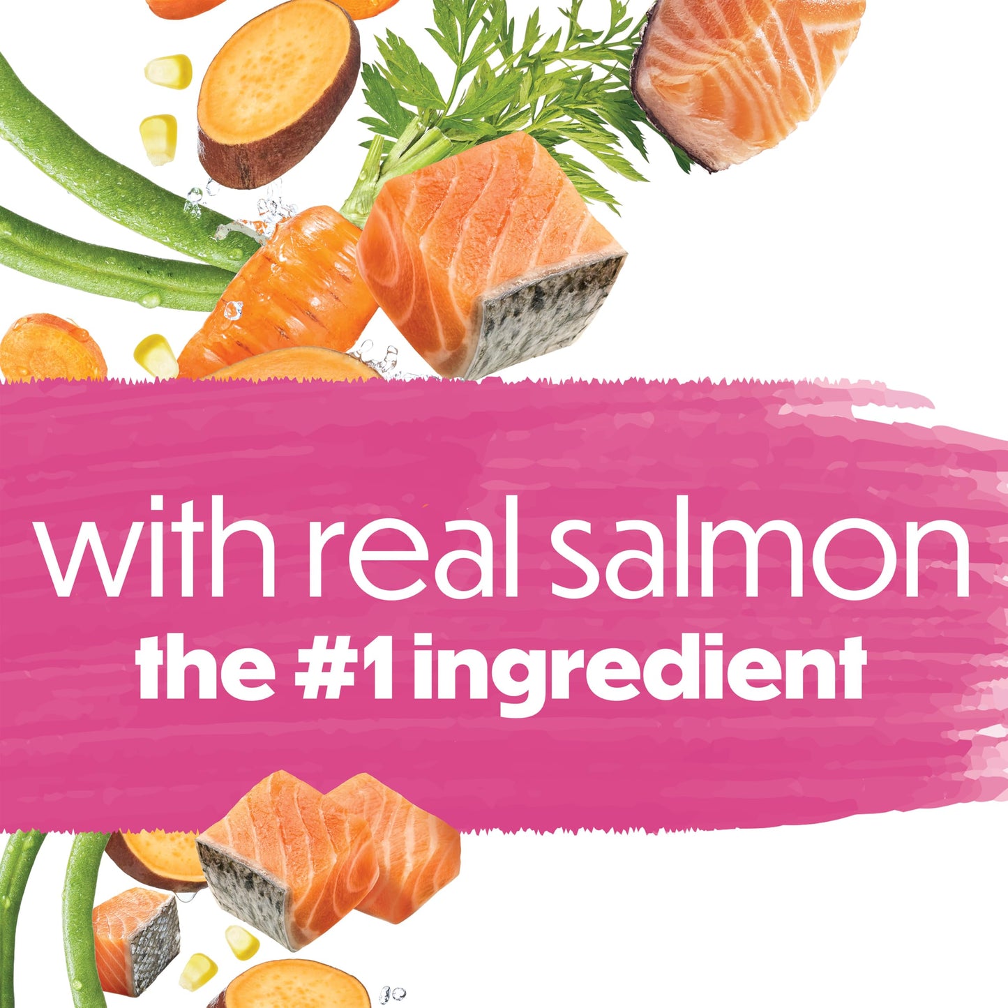 Beneful Originals Dry Dog Food, Real Salmon - 12.7 kg Bag 🍁 All In One Marketplace Canada