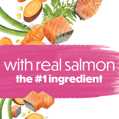 Beneful Originals Dry Dog Food, Real Salmon - 12.7 kg Bag 🍁 All In One Marketplace Canada