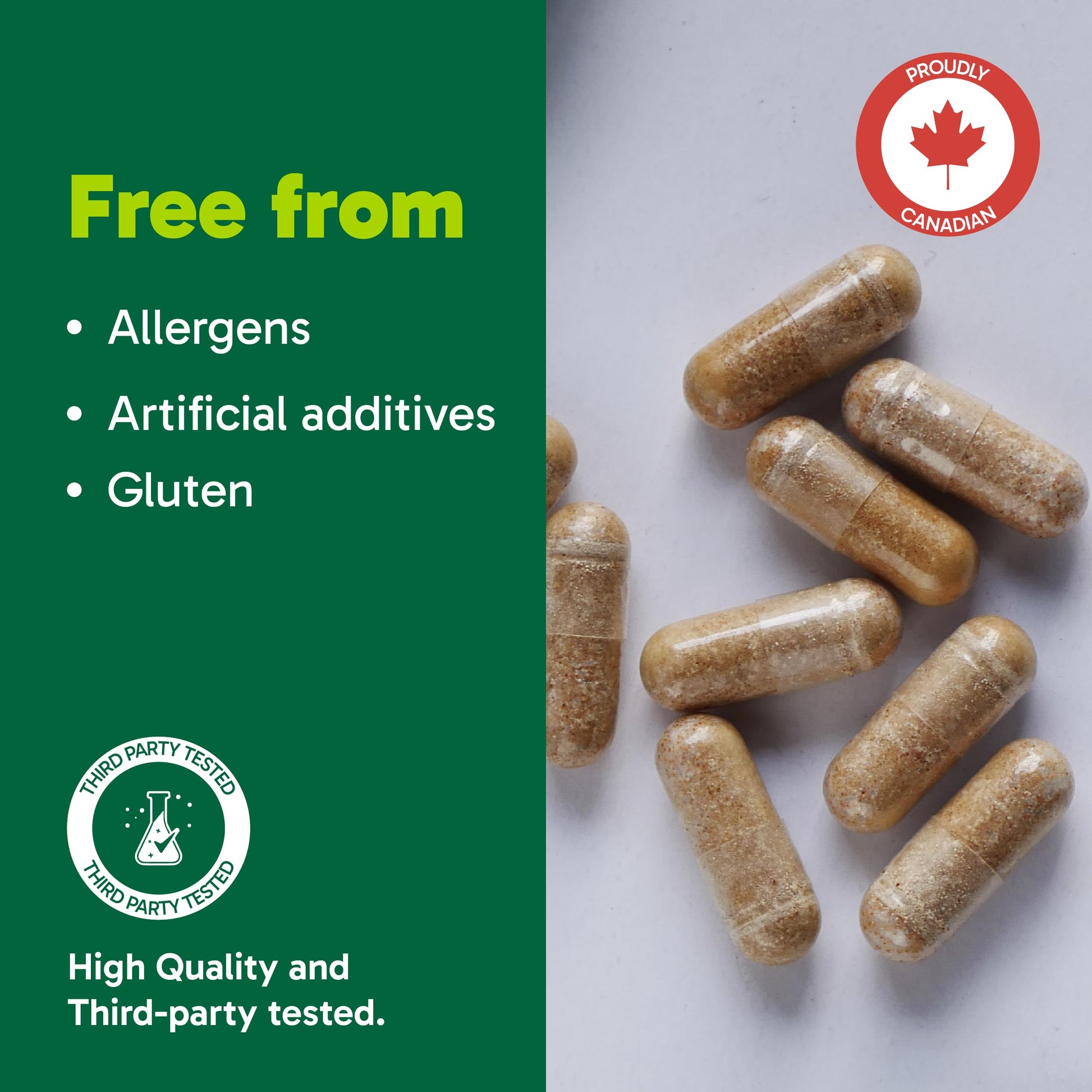 Organika Canadian-Made Absolute Iron - Iron Bisglycinate- High Availability, Gentle on Stomach, Boost Iron Levels- Beneficial for Women and Vegetarians- 120vcaps - Available at All In One Marketplace Canada