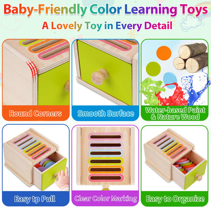 FCSONU Toddlers Montessori Coin Box Toys for 1 2 3 Year Old Boys Girls Baby 🍁 All In One Marketplace Canada