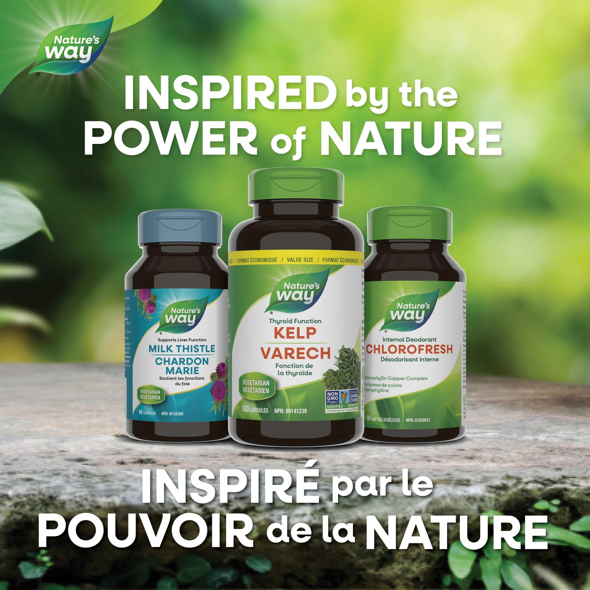 Nature’s Way Kelp - Iodine Supplement for Thyroid Support from Kelp - Non-GMO - 180 Vegetarian Capsules, Value Size Nature's Way