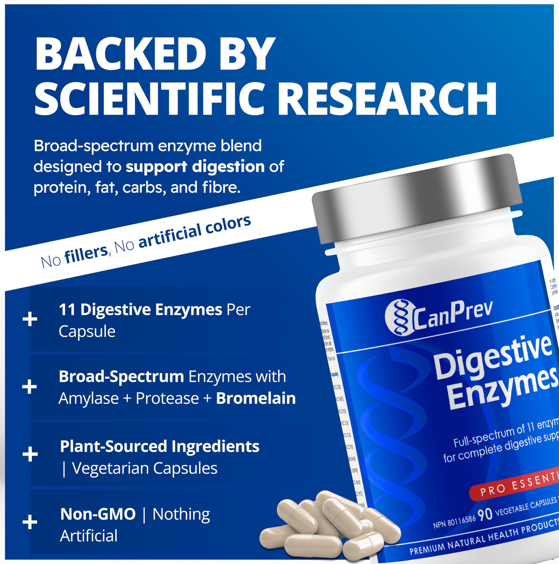 CanPrev - Digestive Enzymes Supplement, 90 Capsules 30-Day Supply - Full Spectrum of 11 Digestive Enzymes for Stomach Gas, Digestion, Indigestion and Bloating Relief - Helps Break Down Proteins - Available at All In One Marketplace Canada