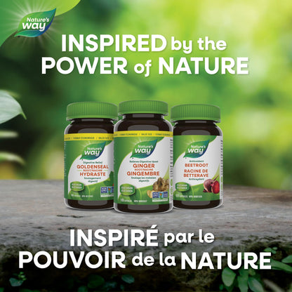 Nature's Way Ginger Root – Traditional Digestive Support Supplement - Used in Herbal Medicine to Help Relieve Digestive Upset – Non-GMO - 180 Vegetarian Capsules, Value Size - Available at All In One Marketplace Canada