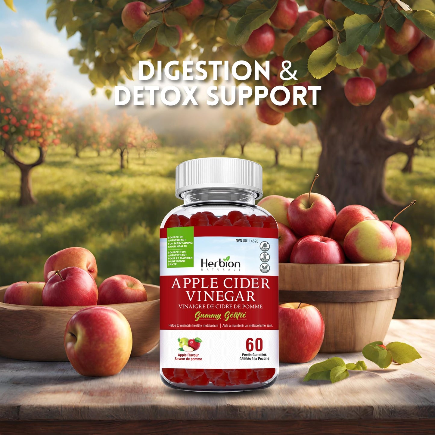 Herbion Naturals Apple Cider Vinegar Gummy with Folic Acid, Pomegranate, Beetroot & vitamin B12, source of Antioxidants to maintain Good Health & Metabolism, 60 Pectin Gummies for Adults, Apple Flavour - Available at All In One Marketplace Canada