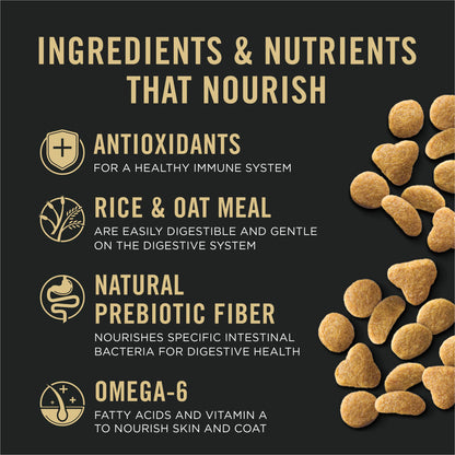 Purina Pro Plan Probiotics, Sensitive Skin & Stomach, Natural Dry Cat Food, Focus Turkey & Oat Meal - 5.5 lb. Bag Pro Plan