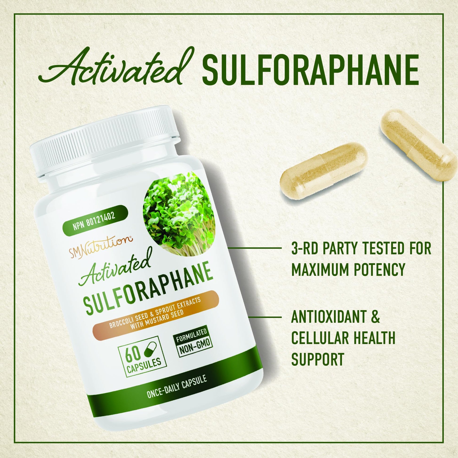 Sulforaphane Supplement from Broccoli Sprouts | 405mg Complex | NRF2 Activation With Glucoraphanin, Broccoli Seed Extract, & Mustard Seed | Supports Cellular Health with Antioxidants | 60 Capsules - Available at All In One Marketplace Canada