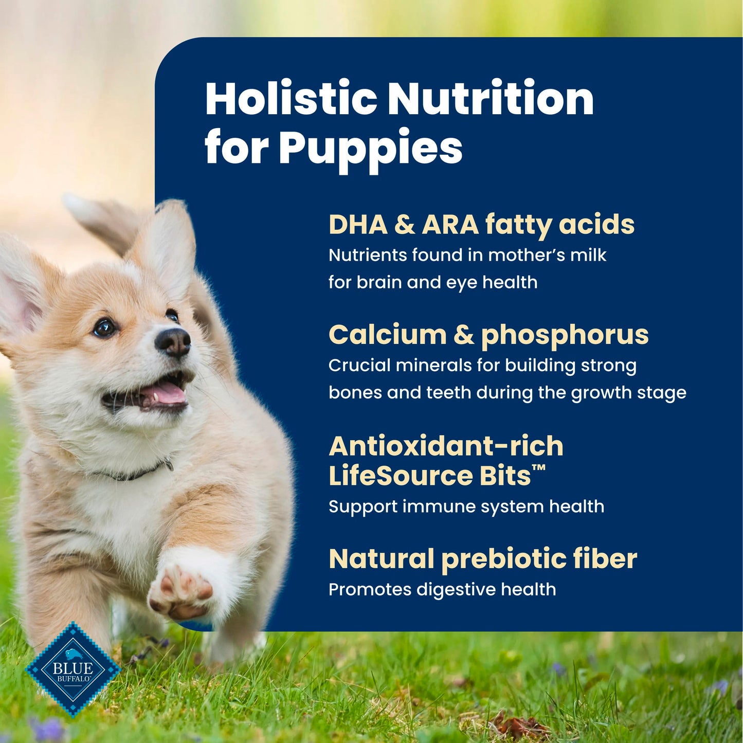 Blue Buffalo Life Protection Formula Puppy Dry Dog Food, Chicken & Brown Rice,11.7 Kg/26 lbs