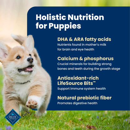 Blue Buffalo Life Protection Formula Puppy Dry Dog Food, Chicken & Brown Rice,11.7 Kg/26 lbs
