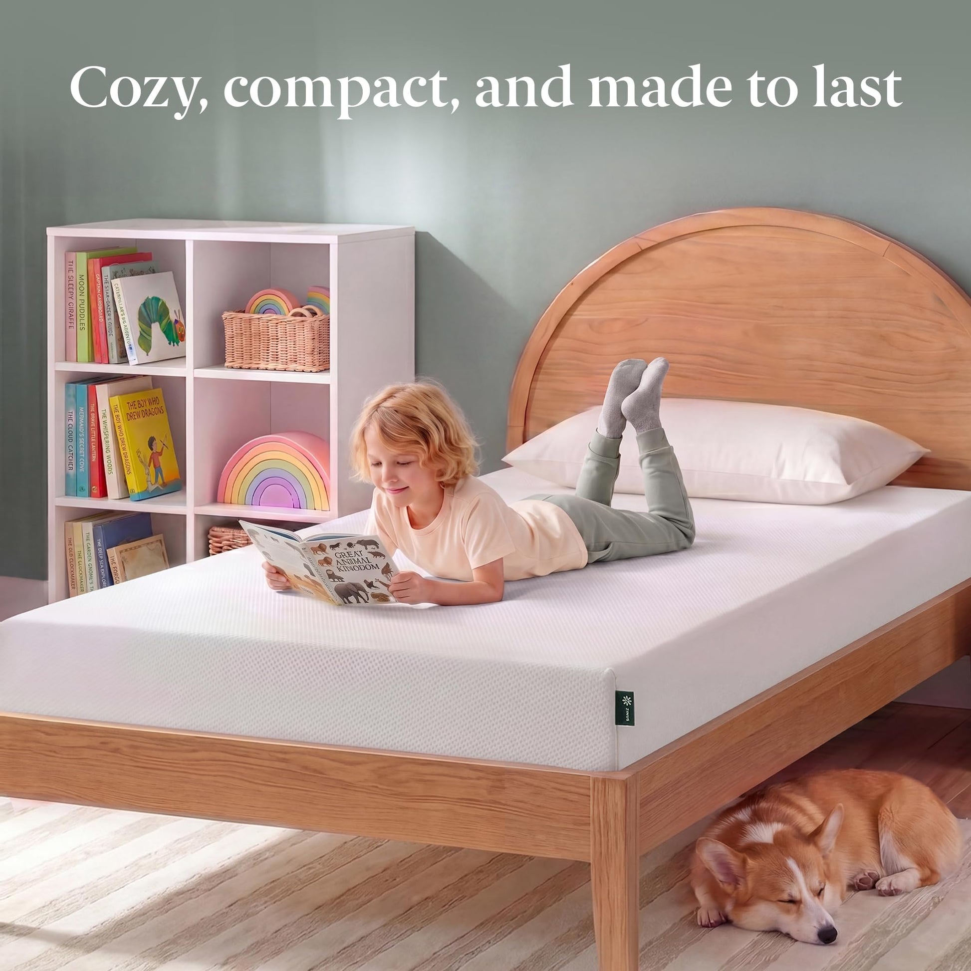Zinus Twin Mattress - 6 Inch Green Tea Infused Memory Foam Mattress, Mattress in a Box, CertiPUR-US Certified Foam with Pressure Relief, 10-Year Warranty, Twin Size Zinus