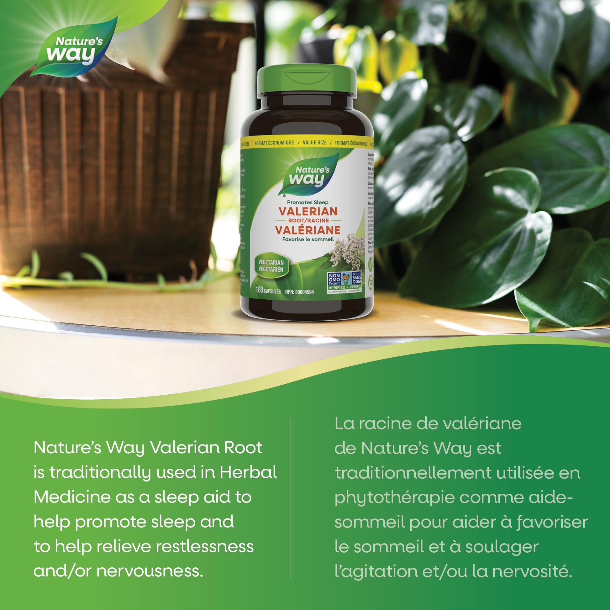 Nature's Way Valerian Root, Sleep Aid to Help Promote Sleep, Value Size, 180 Vegetarian Capsules Nature's Way
