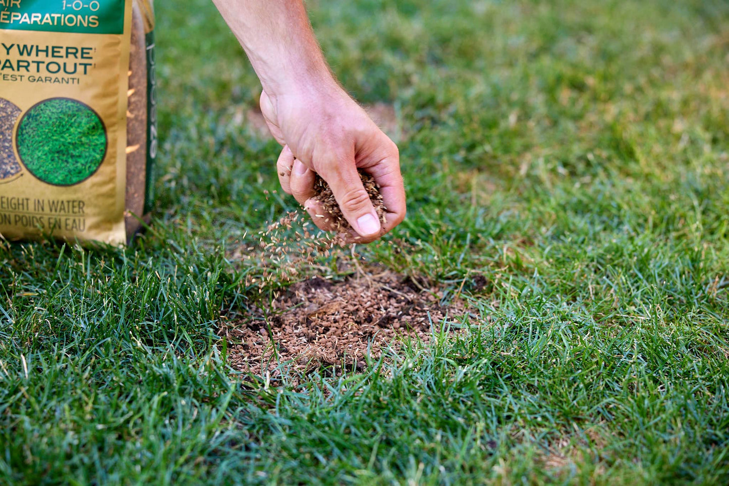 Scotts Ez Seed Patch & Repair 1-0-0, 4.54kg | Multipurpose Formula for Patch and Repair. Grows Anywhere - Available at All In One Marketplace Canada