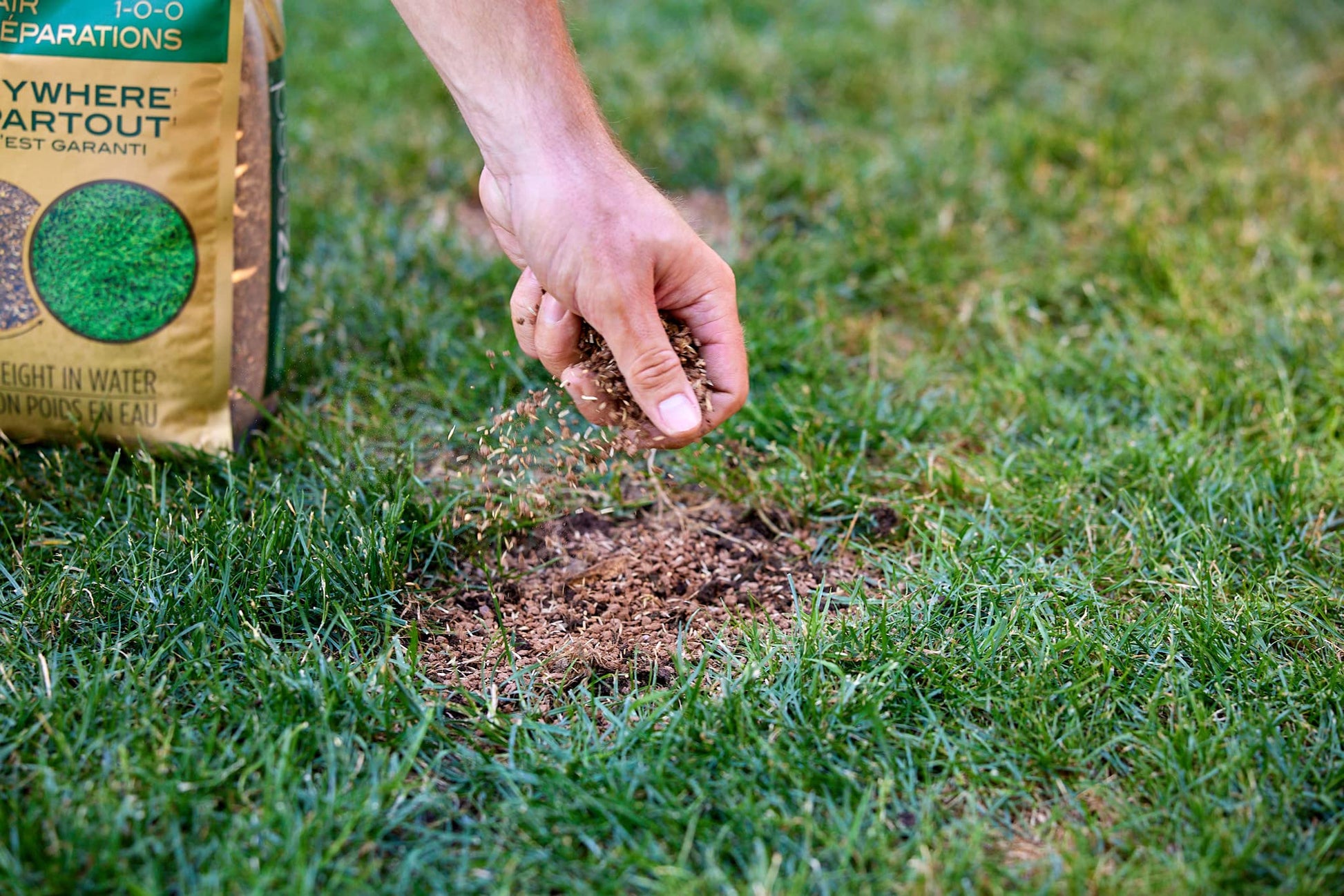 Scotts Ez Seed Patch & Repair 1-0-0, 4.54kg | Multipurpose Formula for Patch and Repair. Grows Anywhere - Available at All In One Marketplace Canada