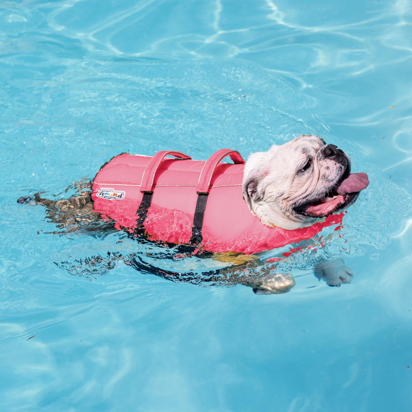 Outward Hound Granby Splash Dog Life Jacket with Handle, Reflective Floating Vest for Swimming & Boating, Maximum Buoyancy, All Skill Levels, Medium Dogs (21–27" Girth), Pink, Medium