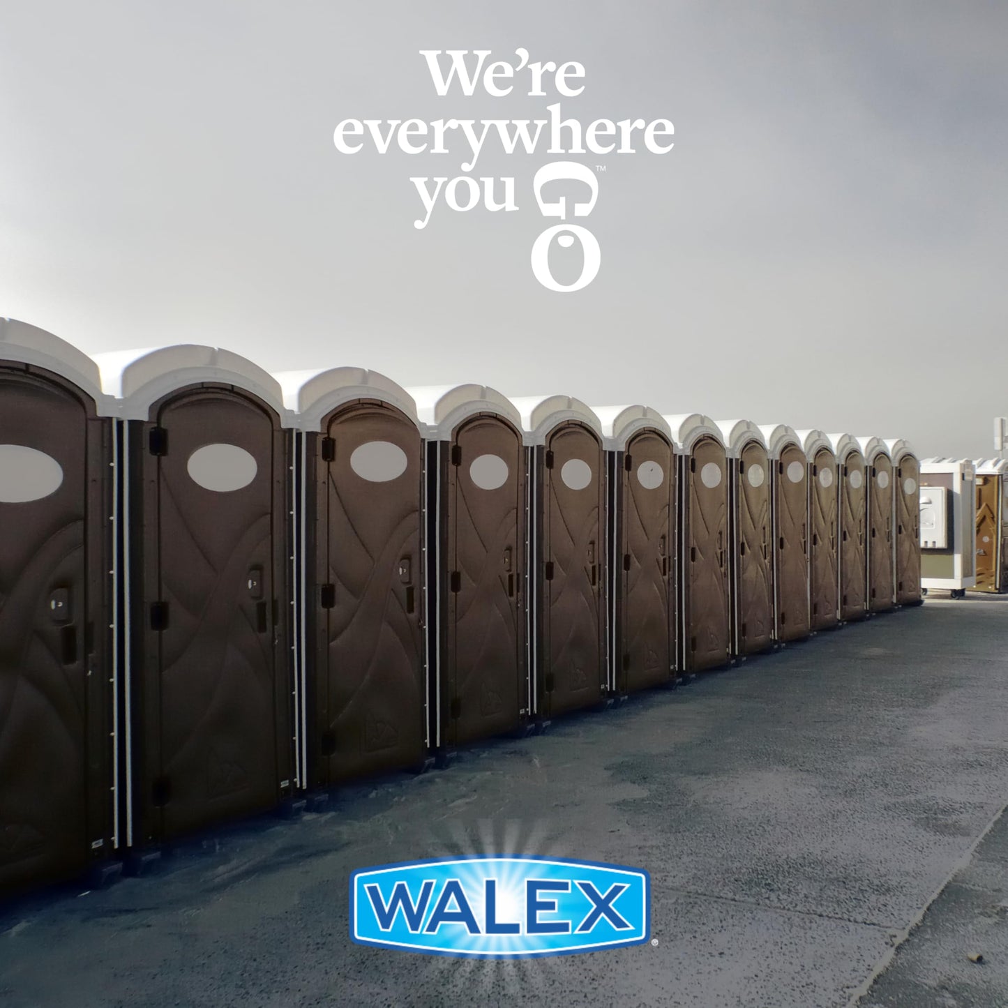 Walex PPSGBG Porta-Pak Commercial Holding Tank Deodorizer Drop-Ins, Sunglow Scent (Pack of 50) 🍁 All In One Marketplace Canada