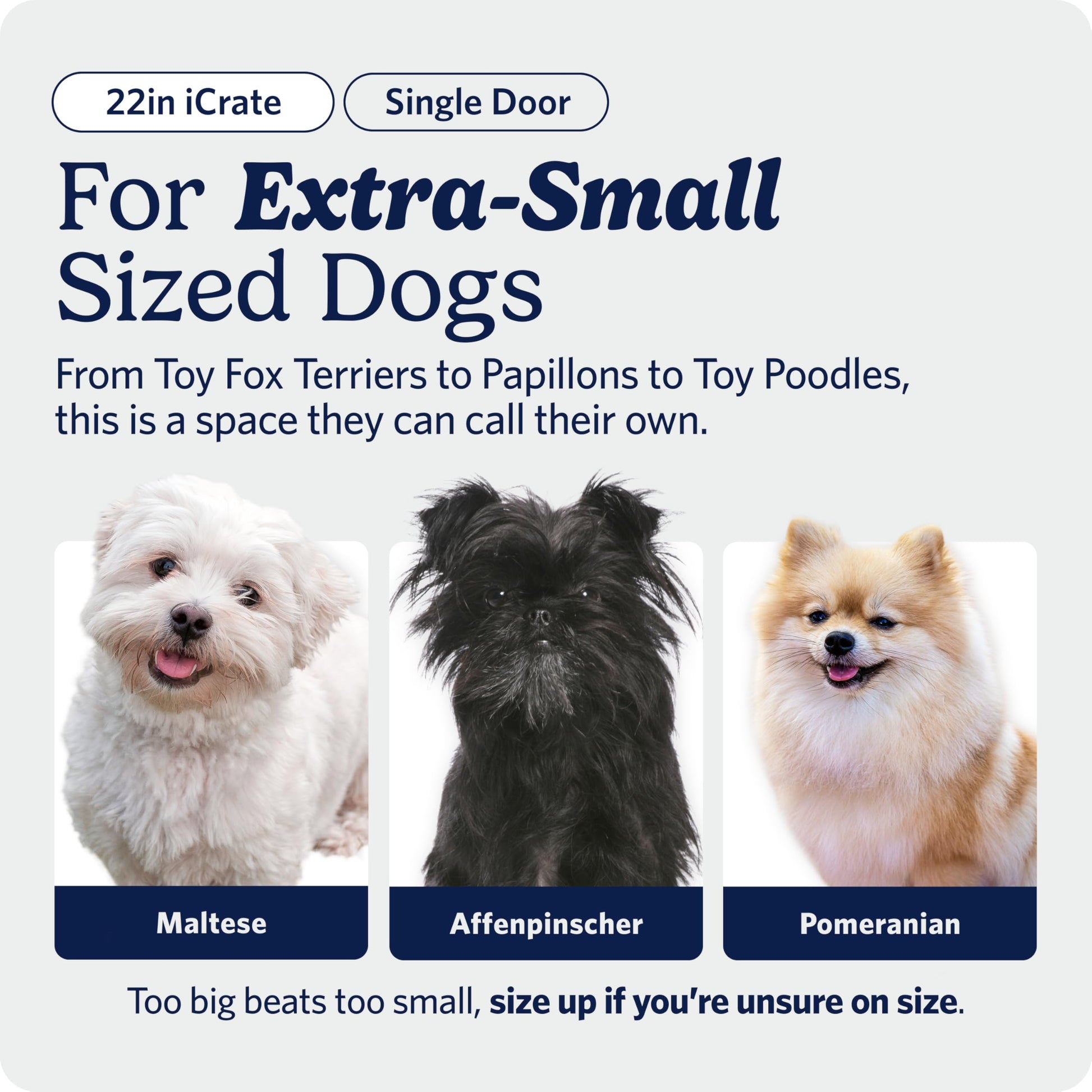 MidWest Homes for Pets 22-Inch iCrate for Extra-Small Breeds, Up to 15 lbs, Single Door Folding Dog Crate with Divider Panel, Leak-Proof Tray & Secure Latch, Portable, Durable & Easy to Assemble MidWest Homes for Pets