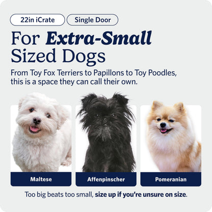 MidWest Homes for Pets 22-Inch iCrate for Extra-Small Breeds, Up to 15 lbs, Single Door Folding Dog Crate with Divider Panel, Leak-Proof Tray & Secure Latch, Portable, Durable & Easy to Assemble MidWest Homes for Pets