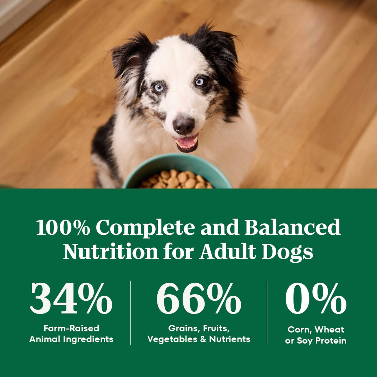 Nutro Natural Choice Adult Dry Dog Food, Lamb Flavour, 13.6kg