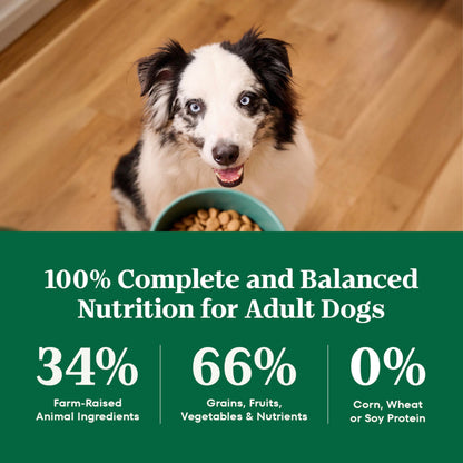 Nutro Natural Choice Adult Dry Dog Food, Lamb Flavour, 13.6kg
