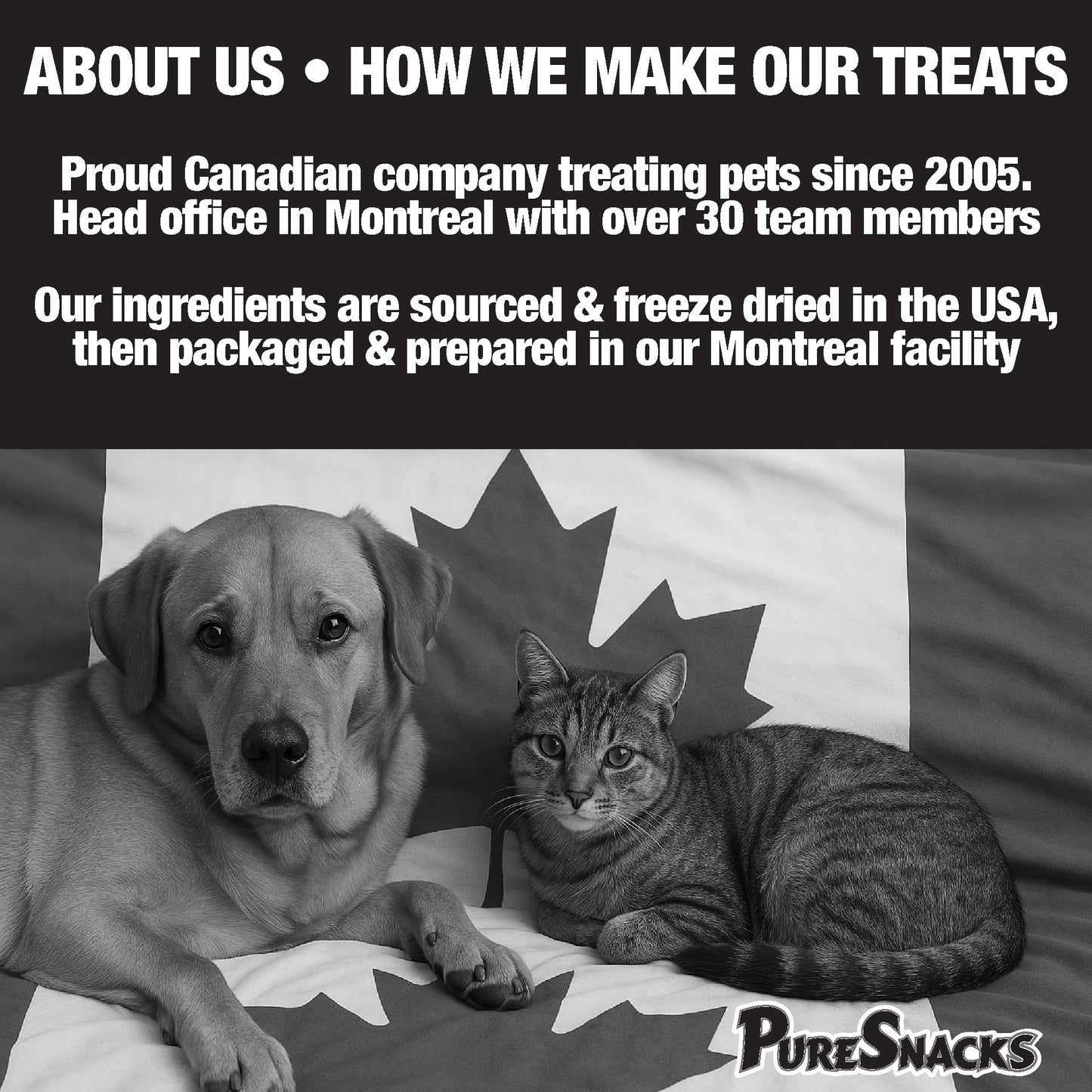 PureSnacks Chicken Single Ingredient Freeze Dried Dog Treats, 261 g 🍁 All In One Marketplace Canada