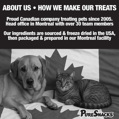PureSnacks Chicken Single Ingredient Freeze Dried Dog Treats, 261 g 🍁 All In One Marketplace Canada