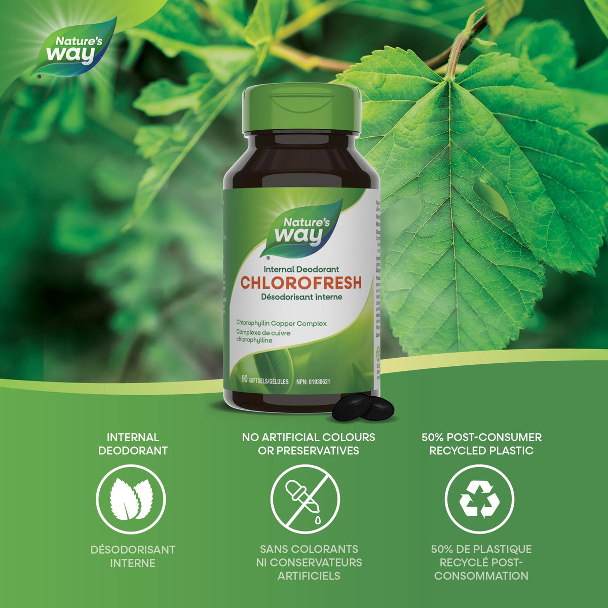 Nature's Way Premium Chlorofresh Softgels - Water-Soluble Chlorophyllin Copper Complex, Internal Deodorant, 90 Softgel Capsules