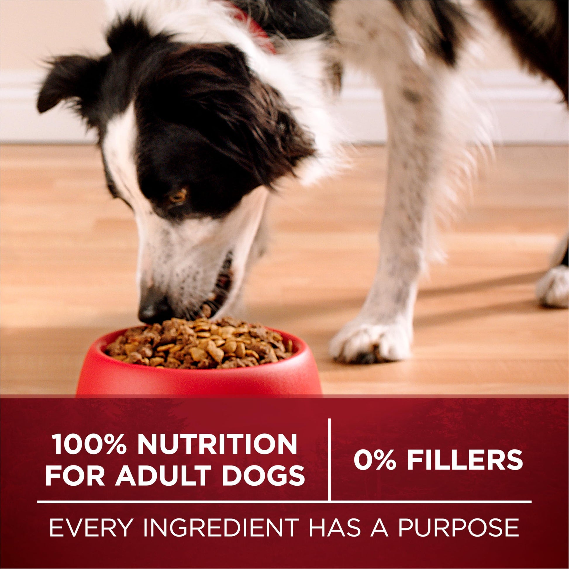 Purina ONE True Instinct Dry Dog Food, Chicken & Duck 6kg Purina ONE