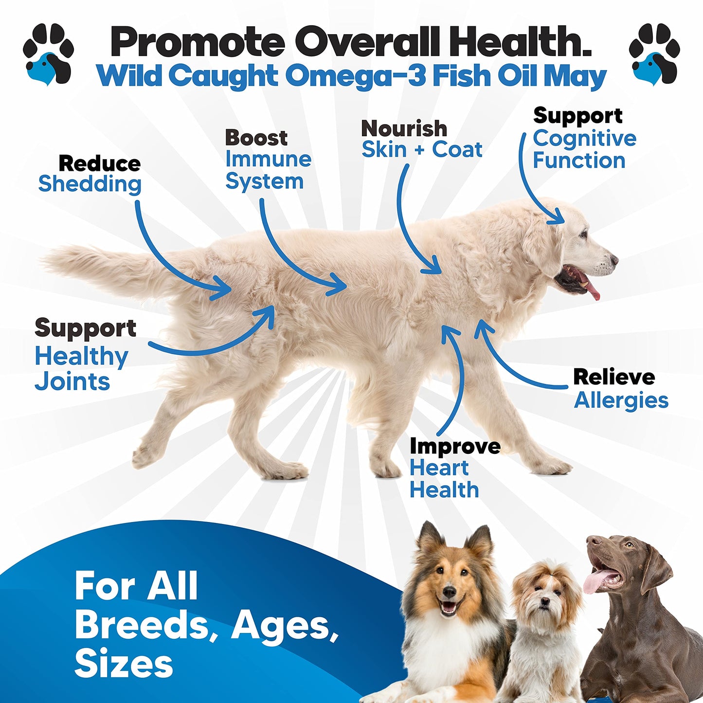 Omega 3 Fish Oil for Dogs – Liquid Fish Oil Supplement – Supports Skin & Coat, Joint Function & Overall Wellness – Easy to Serve – for All Breeds & Ages