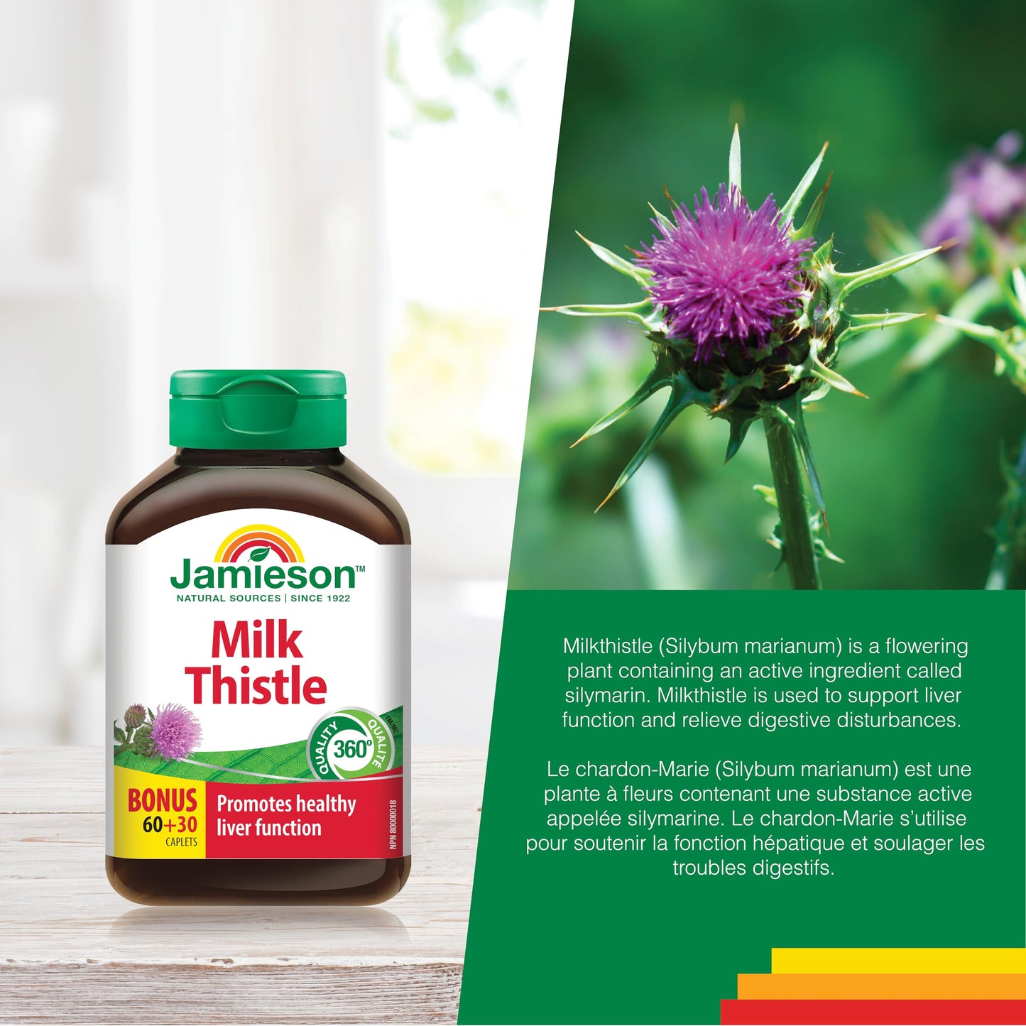 Jamieson Milk Thistle 150 mg, Supports Liver Function, Helps Relieve Digestive Disturbances. Non-GMO, Gluten-Free, 90 Vegetarian Caplets, Proudly Canadian - Available at All In One Marketplace Canada